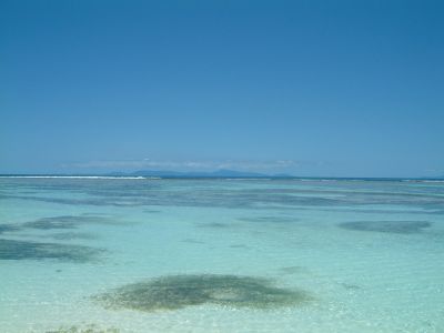 Cliquer pour voir l'image en taille réelle