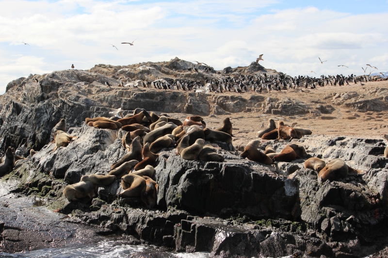 Cliquer pour voir l'image en taille réelle