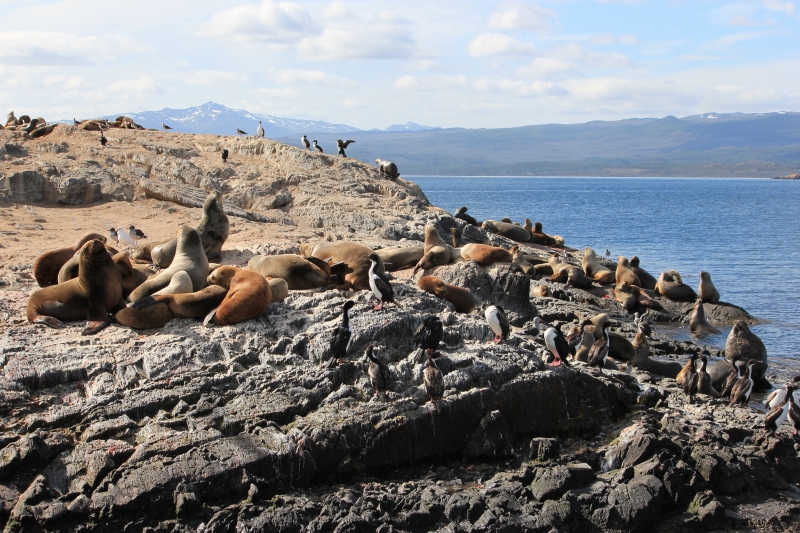 Cliquer pour voir l'image en taille réelle
