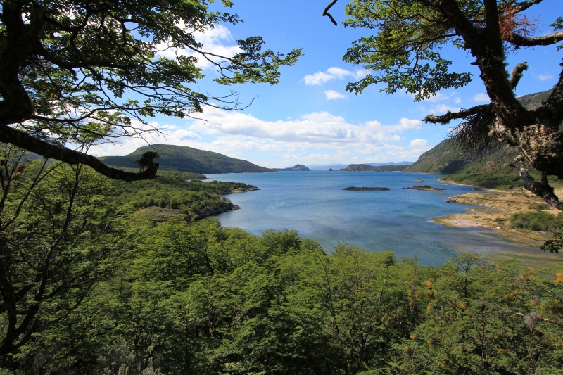 Cliquer pour voir l'image en taille réelle