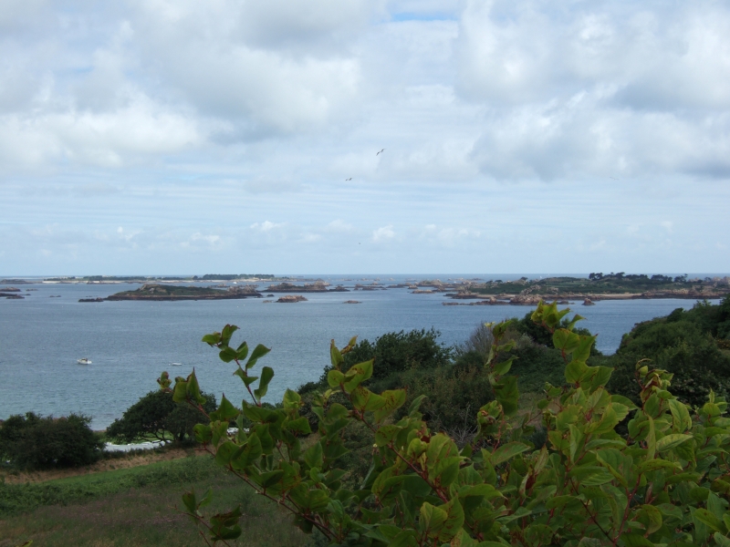 Cliquer pour voir l'image en taille réelle