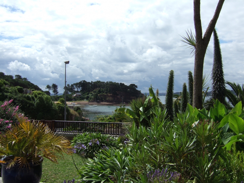 Cliquer pour voir l'image en taille réelle