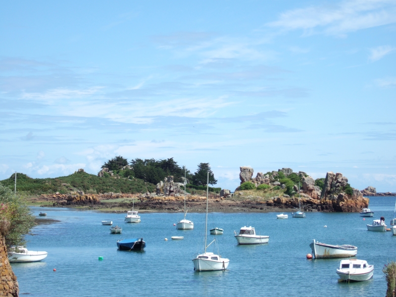 Cliquer pour voir l'image en taille réelle