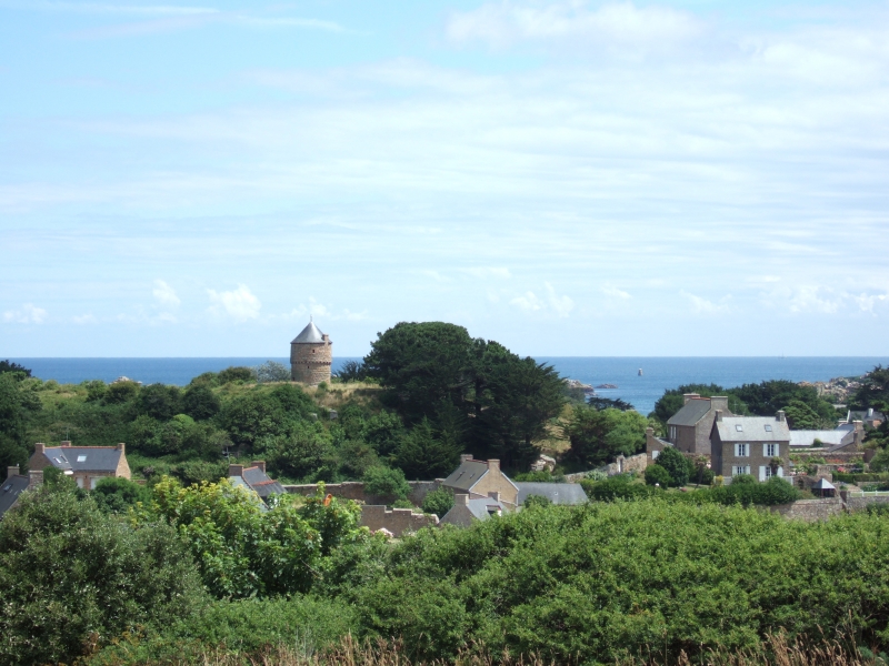 Cliquer pour voir l'image en taille réelle