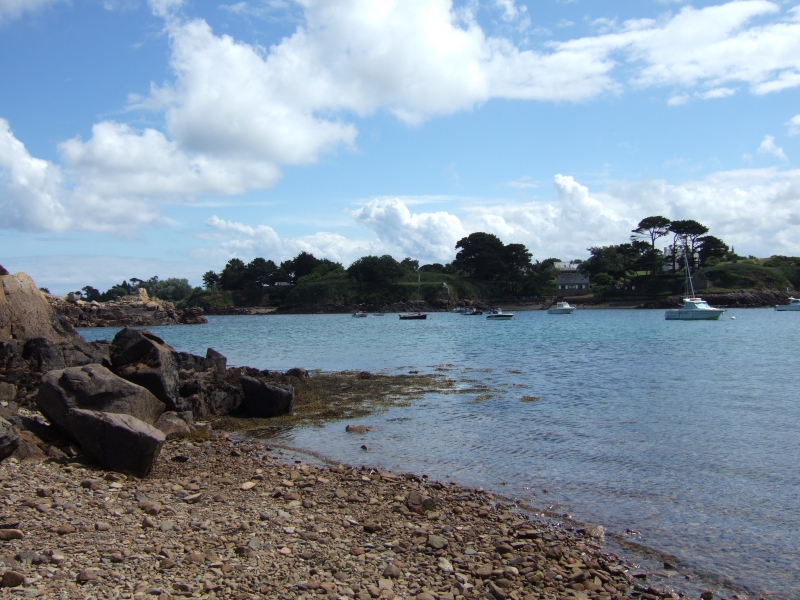 Cliquer pour voir l'image en taille réelle