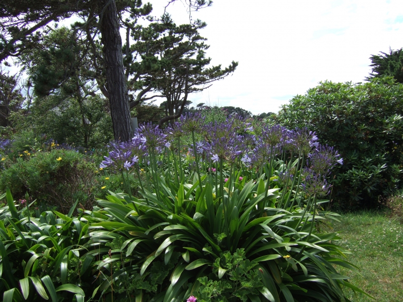 Cliquer pour voir l'image en taille réelle