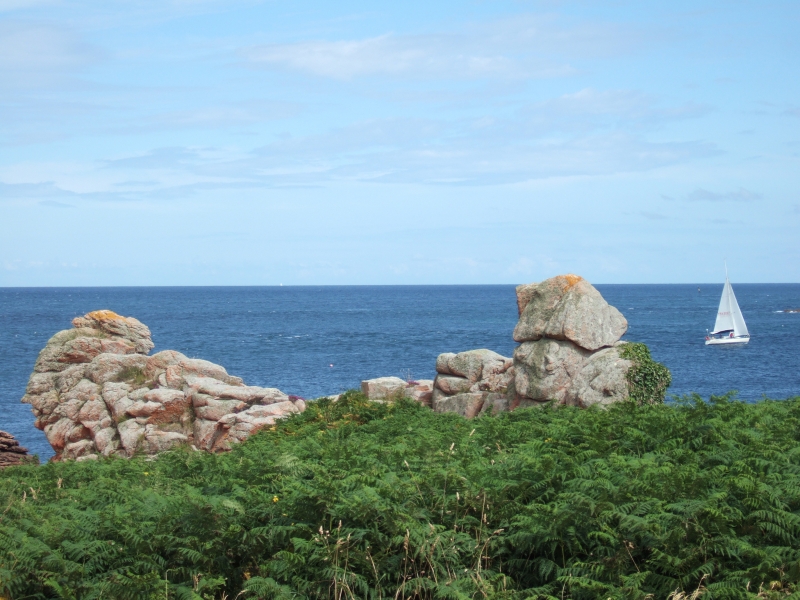 Cliquer pour voir l'image en taille réelle