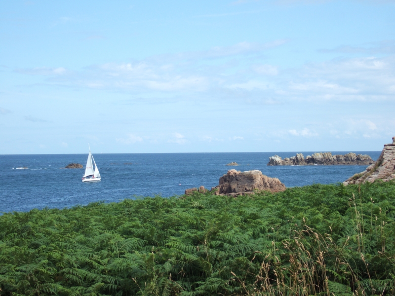 Cliquer pour voir l'image en taille réelle