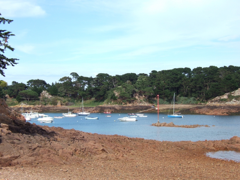 Cliquer pour voir l'image en taille réelle