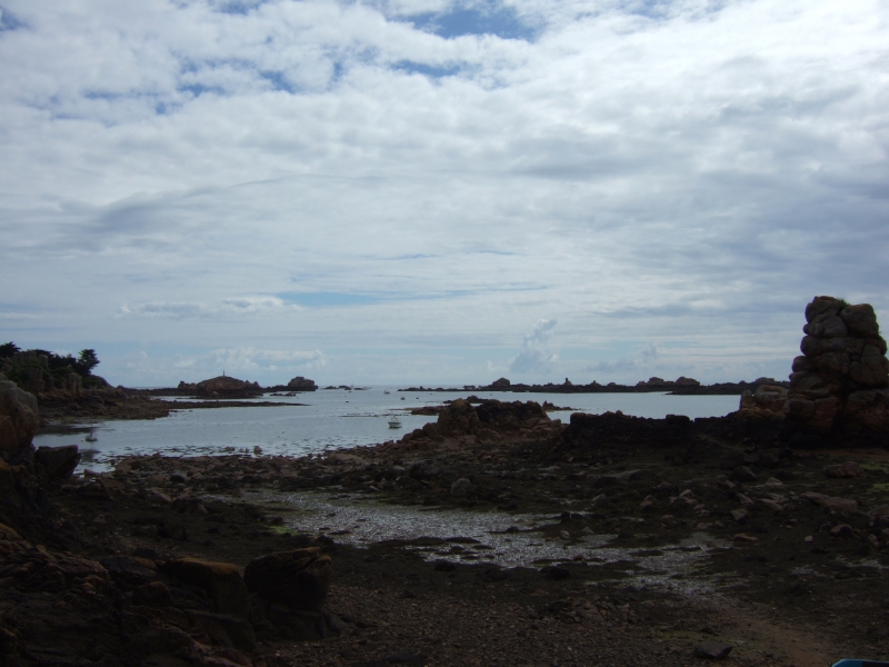 Cliquer pour voir l'image en taille réelle