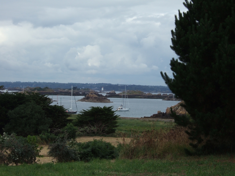 Cliquer pour voir l'image en taille réelle