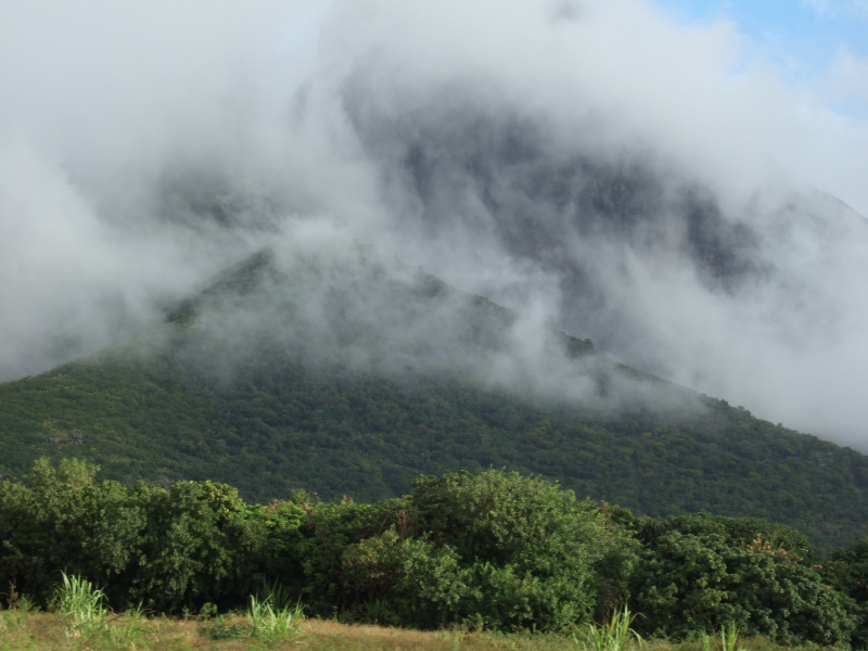 Cliquer pour voir l'image en taille réelle