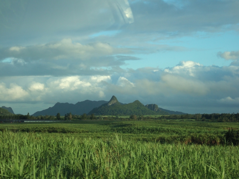 Cliquer pour voir l'image en taille réelle