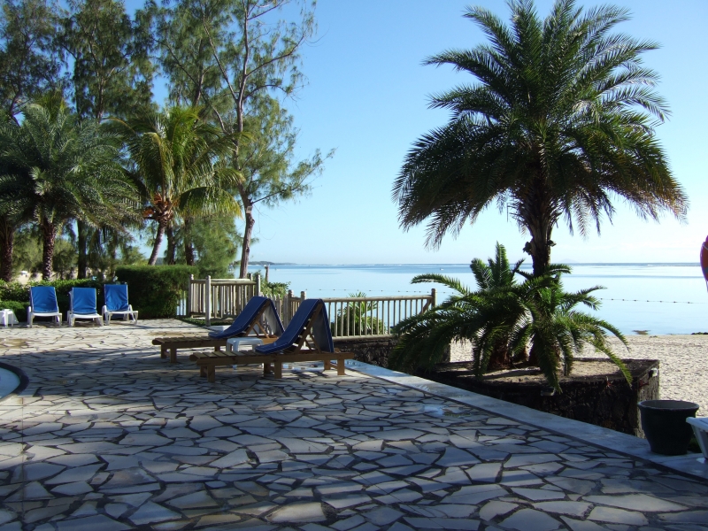 Cliquer pour voir l'image en taille réelle