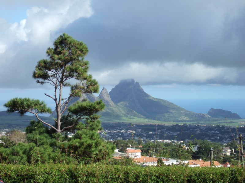 Cliquer pour voir l'image en taille réelle