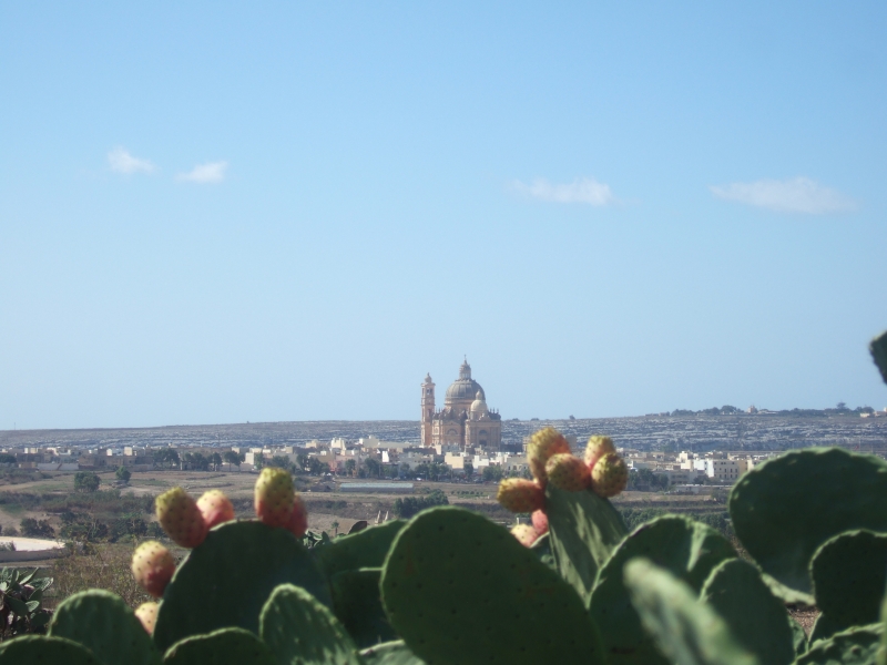 Cliquer pour voir l'image en taille réelle