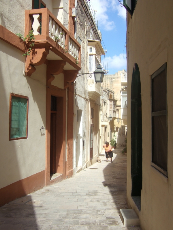 Cliquer pour voir l'image en taille réelle