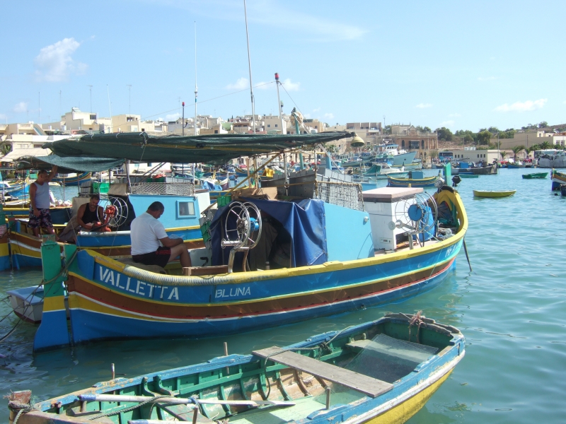 Cliquer pour voir l'image en taille réelle