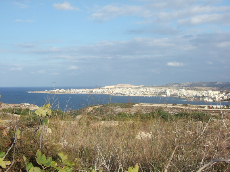 Cliquer pour voir l'image en taille réelle