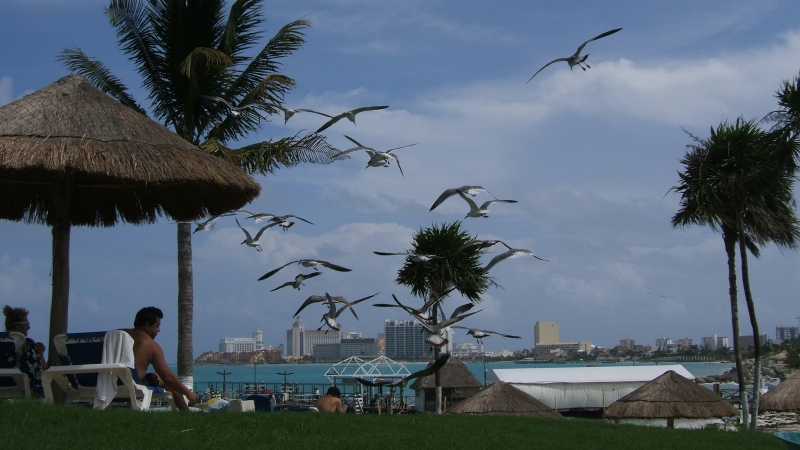 Cliquer pour voir l'image en taille réelle