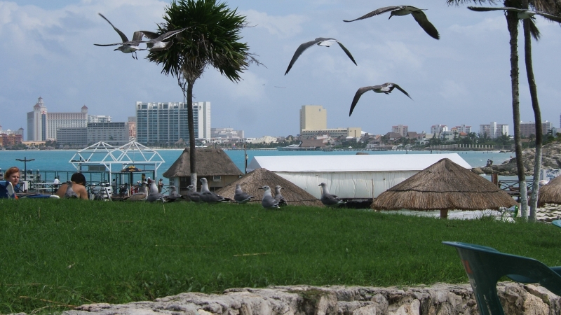 Cliquer pour voir l'image en taille réelle