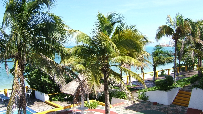 Cliquer pour voir l'image en taille réelle