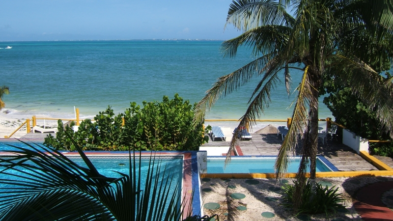 Cliquer pour voir l'image en taille réelle