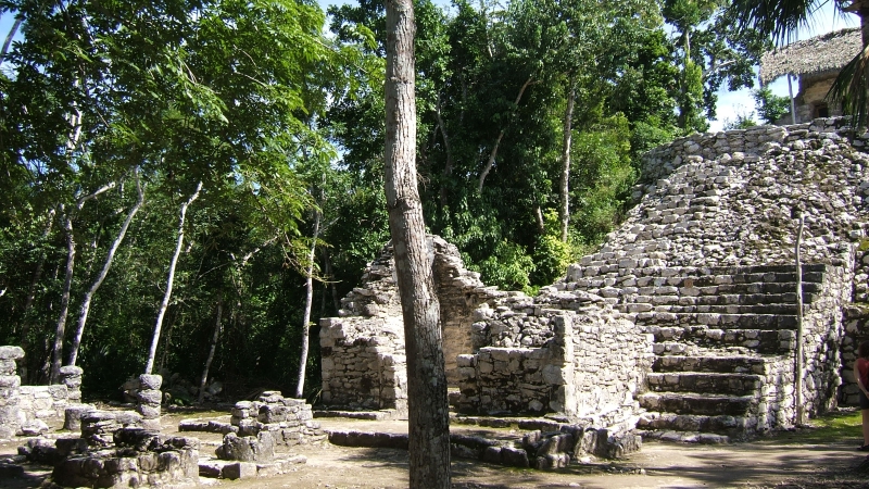 Cliquer pour voir l'image en taille réelle