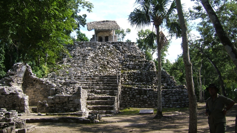 Cliquer pour voir l'image en taille réelle