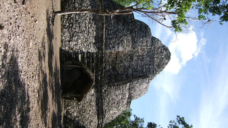 Cliquer pour voir l'image en taille réelle