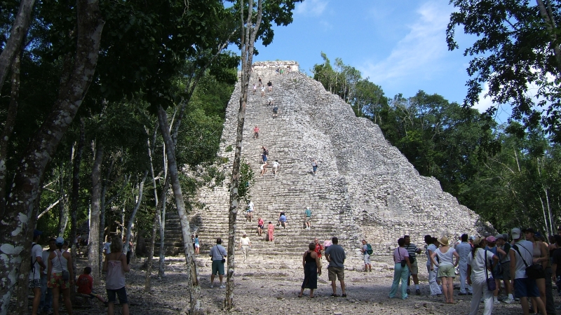 Cliquer pour voir l'image en taille réelle