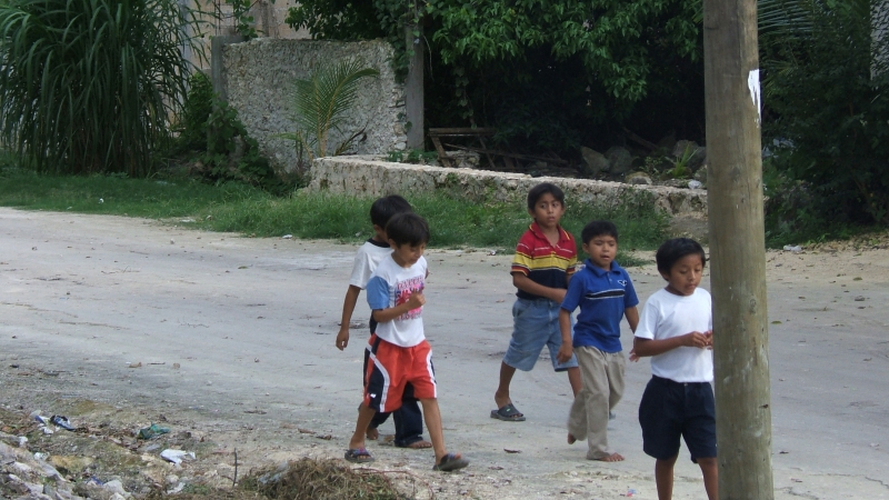 Cliquer pour voir l'image en taille réelle