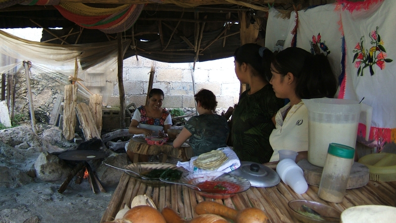 Cliquer pour voir l'image en taille réelle