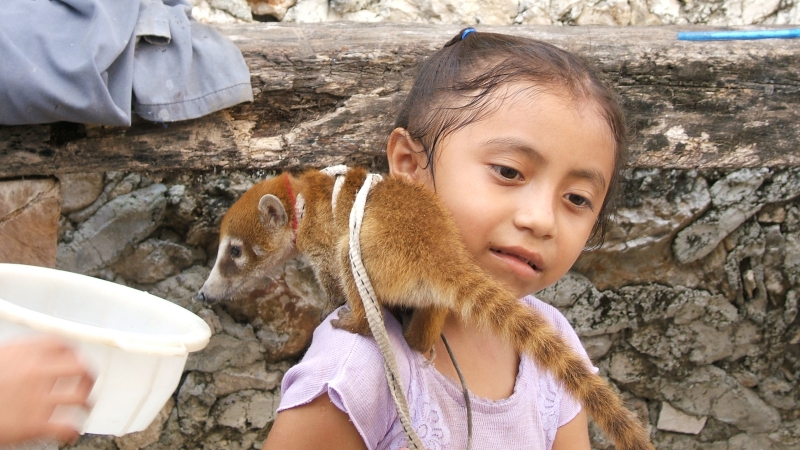 Cliquer pour voir l'image en taille réelle