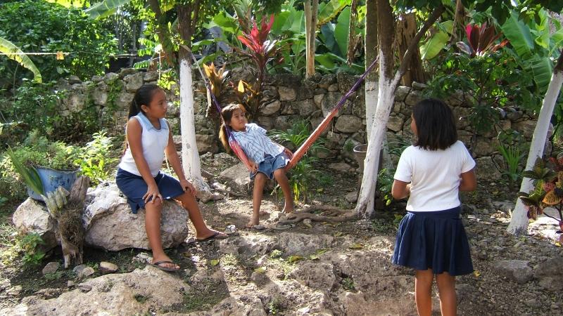 Cliquer pour voir l'image en taille réelle