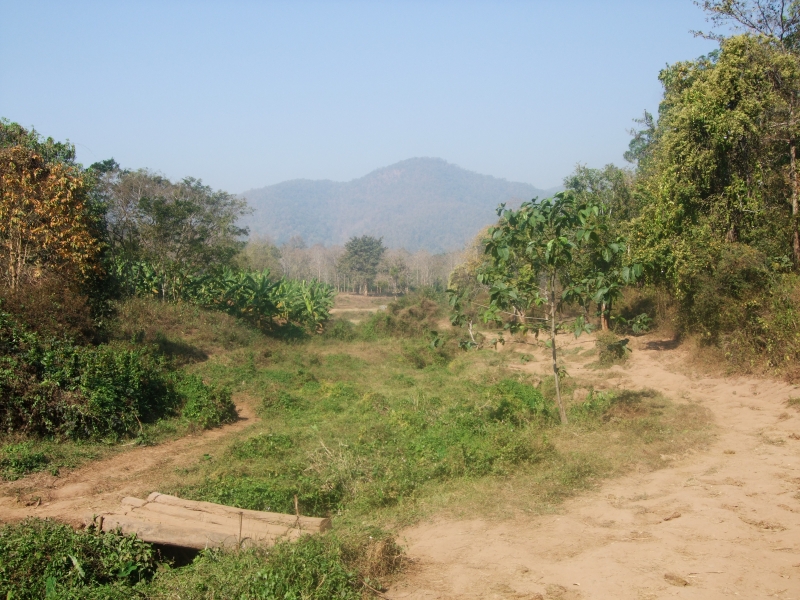 Cliquer pour voir l'image en taille réelle