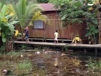 Cliquer pour voir l'image en taille réelle