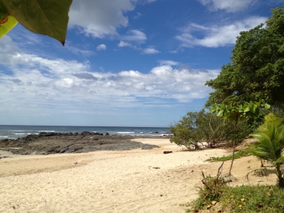 Cliquer pour voir l'image en taille réelle