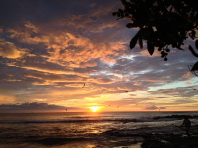 Cliquer pour voir l'image en taille réelle