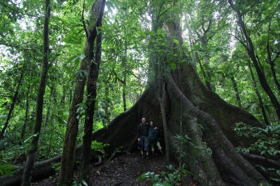 Cliquer pour voir l'image en taille réelle