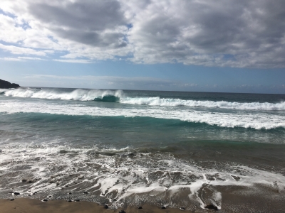 Cliquer pour voir l'image en taille réelle