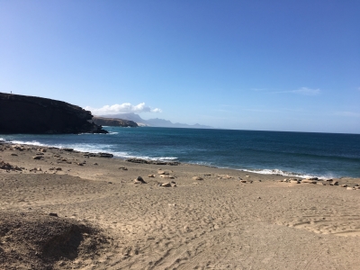 Cliquer pour voir l'image en taille réelle