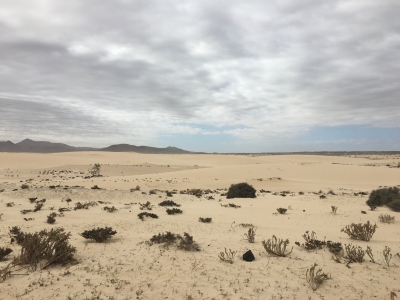 Cliquer pour voir l'image en taille réelle